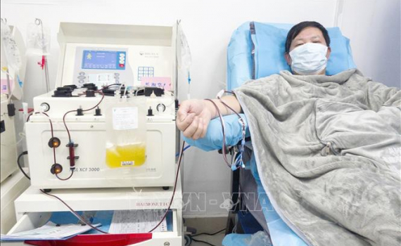 Việt Nam sẽ nghi&ecirc;n cứu d&ugrave;ng huyết tương điều trị bệnh nh&acirc;n Covid-19