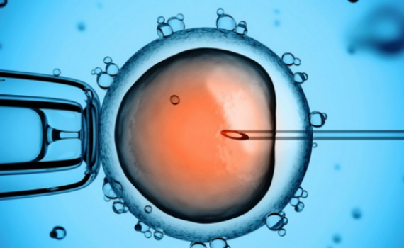 Chấn chỉnh t&igrave;nh trạng vi phạm trong hỗ trợ sinh sản