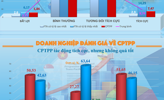 Doanh nghiệp Việt vẫn "đuối sức" 