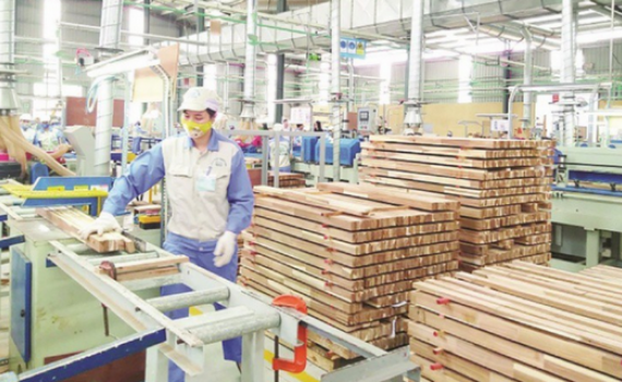 Ngăn chặn đầu tư n&uacute;p b&oacute;ng trong ng&agrave;nh gỗ