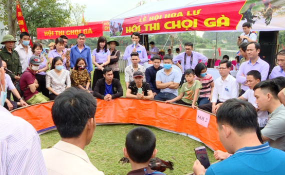 ​​​S&ocirc;i nổi c&aacute;c tr&ograve; chơi d&acirc;n gian được tổ chức tại Lễ hội Hoa Lư