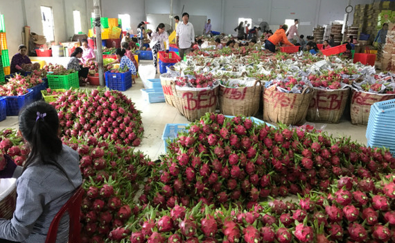 Th&aacute;ch thức với ng&agrave;nh h&agrave;ng được kỳ vọng mang lại gần 10 tỷ USD