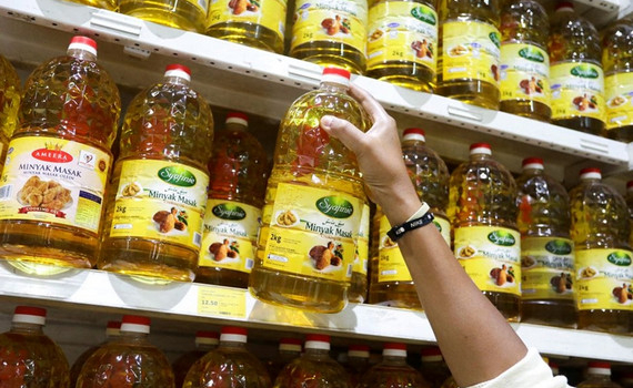 Dầu cọ l&ecirc;n ng&ocirc;i, c&aacute;c nh&agrave; hoạt động m&ocirc;i trường lo ngại