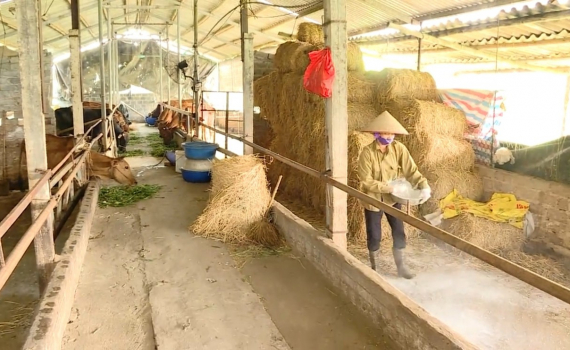 Y&ecirc;n M&ocirc; triển khai th&aacute;ng tổng vệ sinh khử tr&ugrave;ng ti&ecirc;u độc m&ocirc;i trường