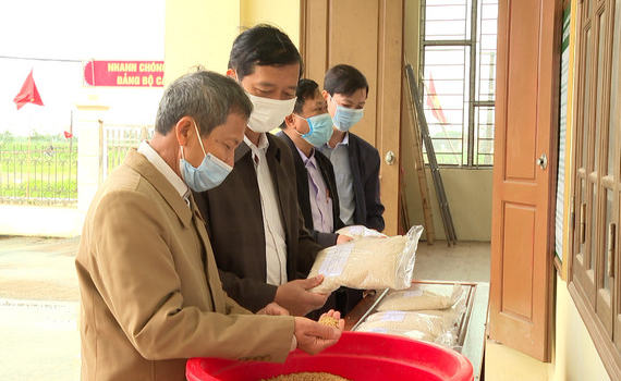 Tổ chức chuy&ecirc;n đề &ldquo;Quy tr&igrave;nh sản xuất l&uacute;a chất lượng cao hướng hữu cơ giống ST25&rdquo;