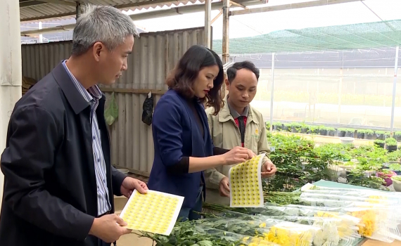 Ninh B&igrave;nh: Đẩy mạnh sử dụng tem truy xuất nguồn gốc