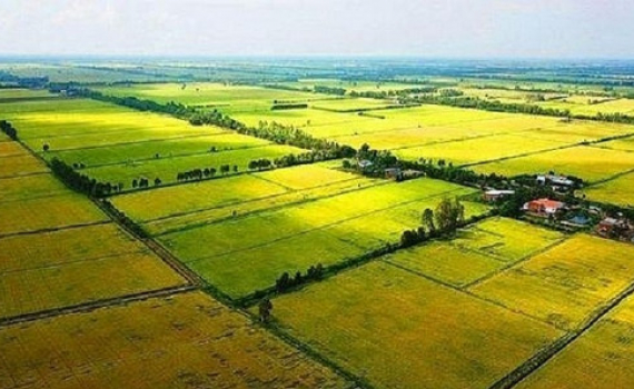 Chuyển mục đ&iacute;ch sử dụng đất tại Bạc Li&ecirc;u, Ninh B&igrave;nh v&agrave; Hậu Giang