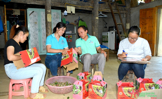 Lời giải hữu hiệu n&agrave;o cho b&agrave;i to&aacute;n tinh giản bi&ecirc;n chế?