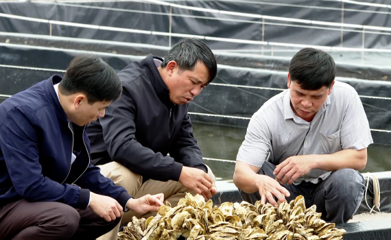 Ninh B&igrave;nh th&uacute;c đẩy ng&agrave;nh thủy sản ph&aacute;t triển to&agrave;n diện