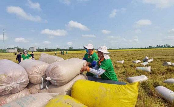 Gạo Việt Nam th&ecirc;m cơ hội xuất sang thị trường Indonesia