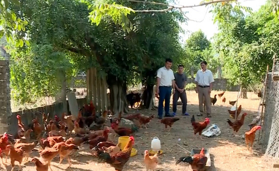 Y&ecirc;n Đồng hỗ trợ t&iacute;ch cực để người d&acirc;n tự vươn l&ecirc;n tho&aacute;t ngh&egrave;o