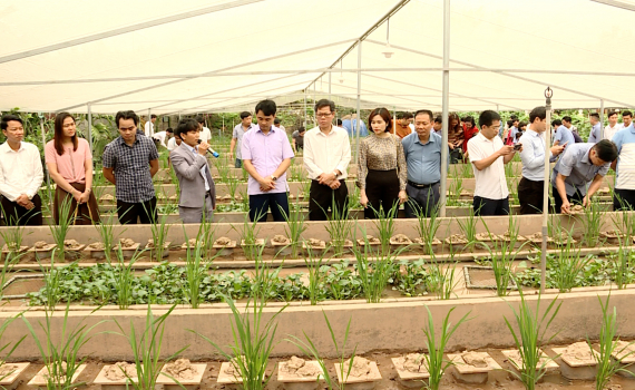 Hội N&ocirc;ng d&acirc;n Ninh B&igrave;nh nh&acirc;n rộng m&ocirc; h&igrave;nh kinh tế hiệu quả