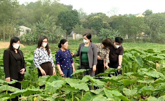 Hội Phụ nữ huyện Nho Quan hỗ trợ hội vi&ecirc;n ph&aacute;t triển kinh tế, giảm ngh&egrave;o