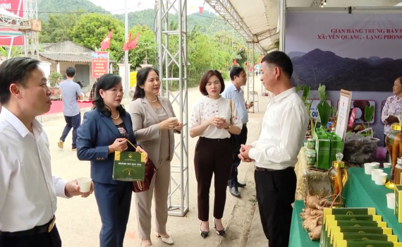 Nho Quan đẩy mạnh c&aacute;c hoạt động x&uacute;c tiến thương mại
