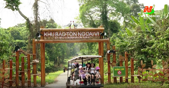 Hàng nghìn du khách đổ về Vườn Quốc gia Cúc Phương - Đài Phát thanh và Truyền hình Ninh Bình