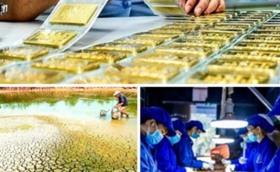 Chỉ đạo, điều h&agrave;nh của Ch&iacute;nh phủ, Thủ tướng Ch&iacute;nh phủ nổi bật tuần từ 8-12/4/2024