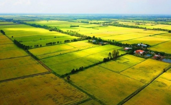 Điểm mới quan trọng của Luật Đất đai 2024: Kh&ocirc;ng c&ograve;n cấp đất cho hộ gia đ&igrave;nh từ ng&agrave;y 1-1-2025