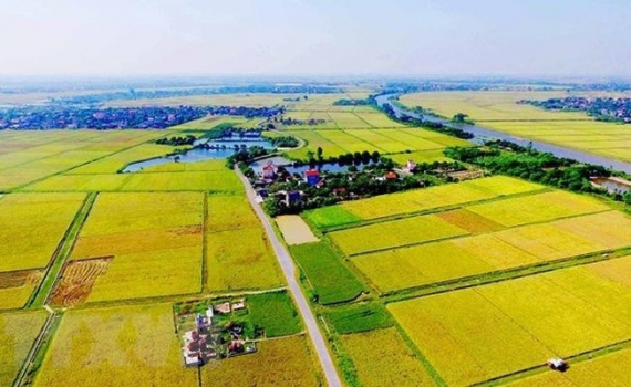 Điểm mới quan trọng của Luật Đất đai 2024: N&acirc;ng hạn mức nhận chuyển quyền sử dụng đất n&ocirc;ng nghiệp