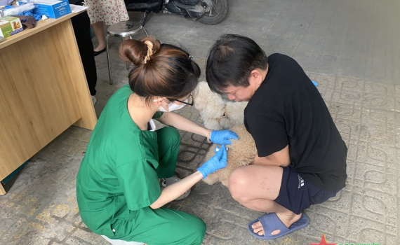 V&igrave; sao bệnh dại đang c&oacute; xu hướng gia tăng?