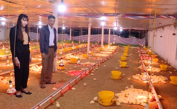 Hội N&ocirc;ng d&acirc;n x&atilde; Cồn Thoi ph&aacute;t triển m&ocirc; h&igrave;nh kinh tế tập thể