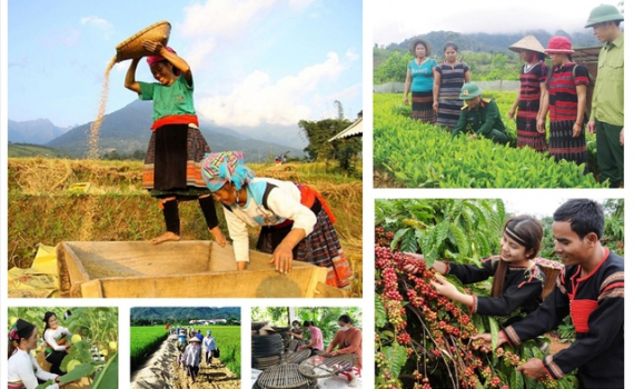 Triển khai cơ chế, ch&iacute;nh s&aacute;ch đặc th&ugrave; đẩy nhanh tiến độ chương tr&igrave;nh mục ti&ecirc;u quốc gia tại địa phương