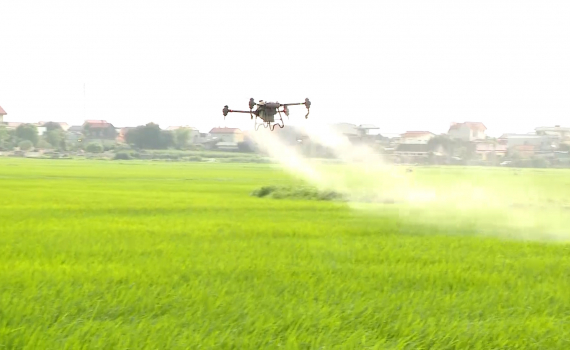 Ninh B&igrave;nh ph&aacute;t triển đa dạng dịch vụ phục vụ sản xuất n&ocirc;ng nghiệp