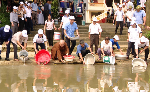 Chương tr&igrave;nh thả c&aacute; giống t&aacute;i tạo nguồn lợi thủy sản năm 2024