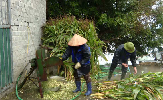 Xử l&yacute; phụ phẩm n&ocirc;ng nghiệp, giảm &ocirc; nhiễm m&ocirc;i trường