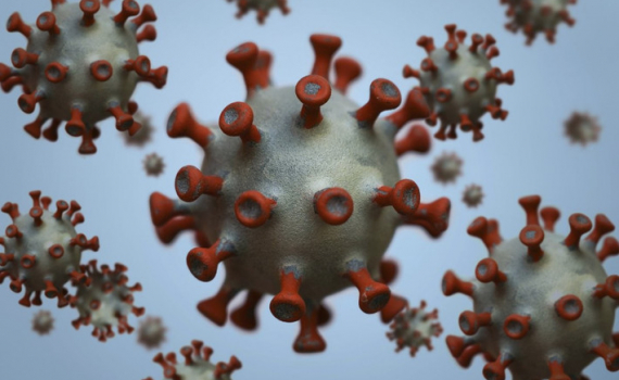 Bộ Y tế th&ocirc;ng tin về virus g&acirc;y bệnh &ldquo;lạ&rdquo; tại Li&ecirc;n bang Nga