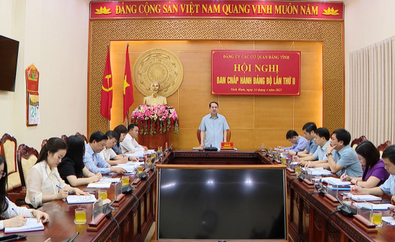 Hội nghị Ban Chấp h&agrave;nh Đảng bộ c&aacute;c cơ quan Đảng tỉnh lần thứ II