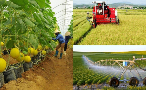 Điều kiện c&ocirc;ng nhận x&atilde; đạt chuẩn n&ocirc;ng th&ocirc;n mới, n&ocirc;ng th&ocirc;n mới hiện đại