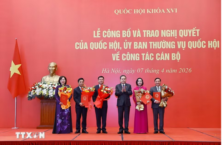 qh1_00065908042026.png