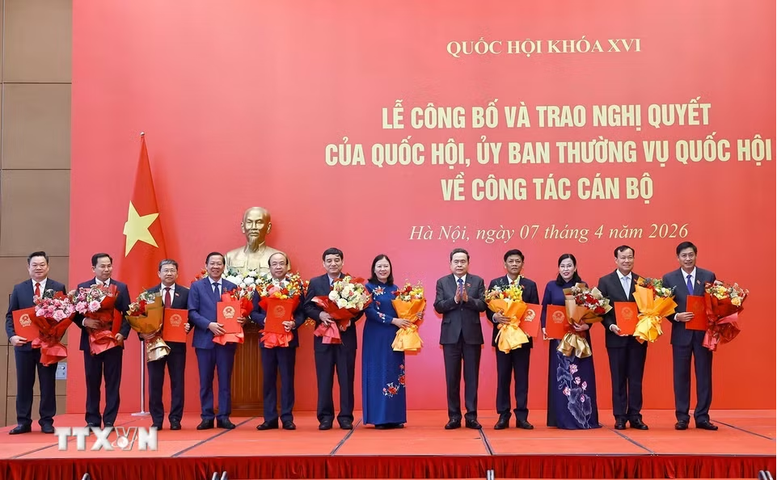 qh2_00071308042026.png