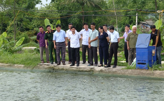 Khảo s&aacute;t phong tr&agrave;o d&acirc;n vận kh&eacute;o tại huyện Nho Quan