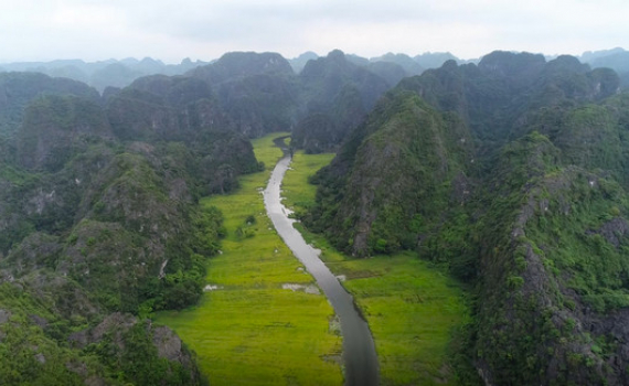 Về Tam Cốc ngắm vẻ đẹp m&ugrave;a l&uacute;a ch&iacute;n