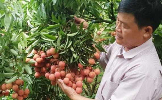 Thương mại điện tử: Hướng đi mới cho ti&ecirc;u thụ n&ocirc;ng sản
