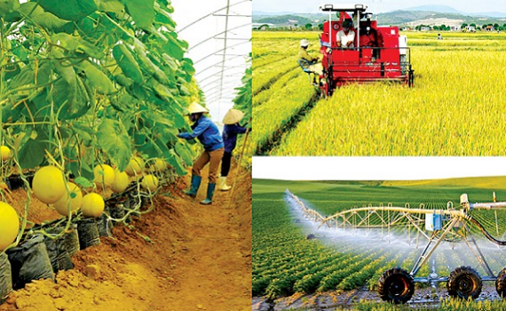 Triển vọng phục hồi của n&ocirc;ng nghiệp thực phẩm 