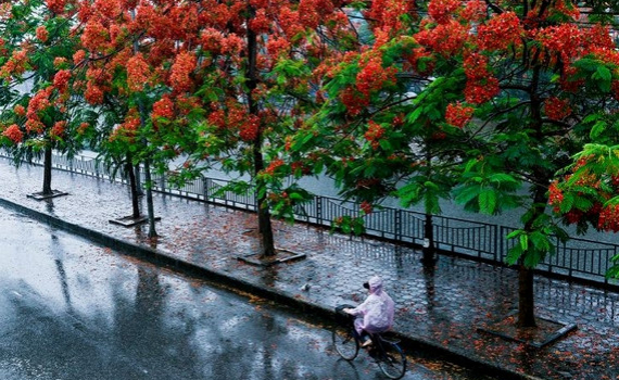 Thời tiết ng&agrave;y 21-5: Từ h&ocirc;m nay, miền Bắc bước v&agrave;o đợt mưa d&ocirc;ng diện rộng