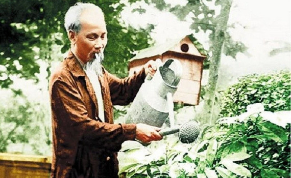C&acirc;y xanh bốn m&ugrave;a