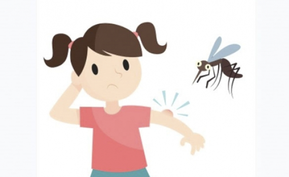 C&aacute;ch chăm s&oacute;c trẻ sốt xuất huyết tại nh&agrave;
