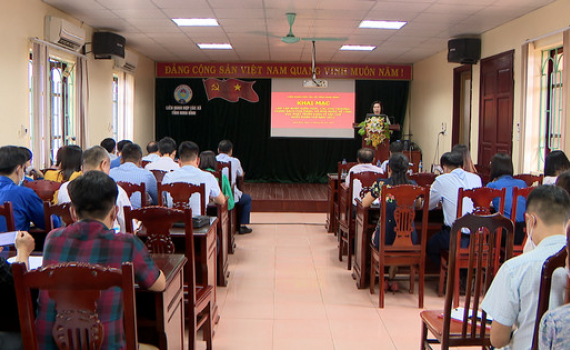 Li&ecirc;n minh HTX tỉnh tập huấn kiến thức về kinh tế tập thể cho c&aacute;c đo&agrave;n thể