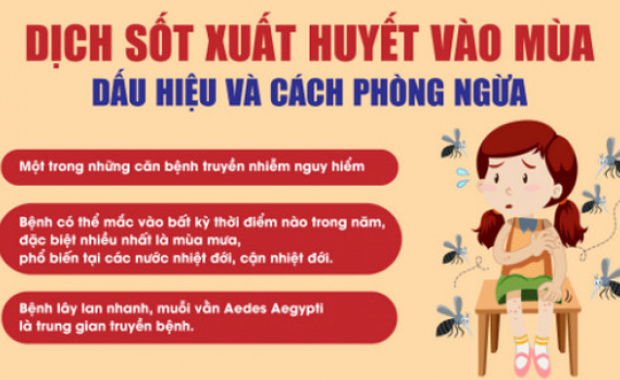 Dịch sốt xuất huyết v&agrave;o m&ugrave;a, dấu hiệu v&agrave; c&aacute;ch ph&ograve;ng ngừa