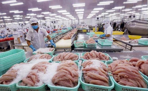 Xuất khẩu thủy sản bứt ph&aacute;, nhiều mặt h&agrave;ng tăng trưởng kỷ lục