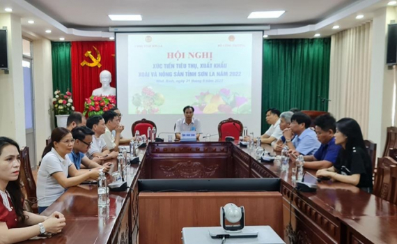Hội nghị trực tuyến x&uacute;c tiến ti&ecirc;u thụ xo&agrave;i v&agrave; n&ocirc;ng sản Sơn La