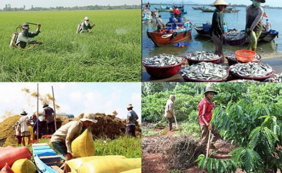 Ch&iacute;nh s&aacute;ch mới về hỗ trợ bảo hiểm n&ocirc;ng nghiệp