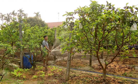 Y&ecirc;n Kh&aacute;nh ph&aacute;t triển trồng trọt, chăn nu&ocirc;i đảm bảo ATTP