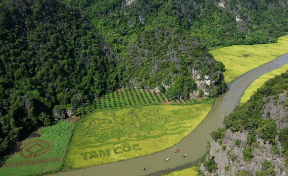 X&acirc;y dựng "Sắc v&agrave;ng Tam Cốc - Tr&agrave;ng An" trở th&agrave;nh sản phẩm du lịch đặc trưng của Ninh B&igrave;nh