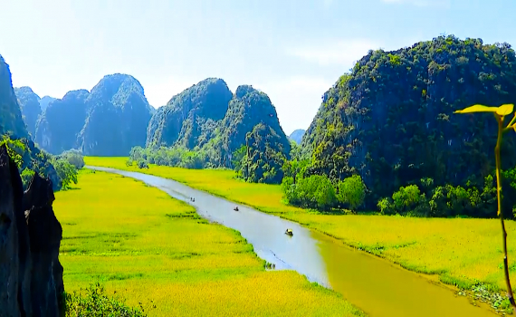 Nỗ lực x&acirc;y dựng c&aacute;nh đồng v&agrave;ng Tam Cốc