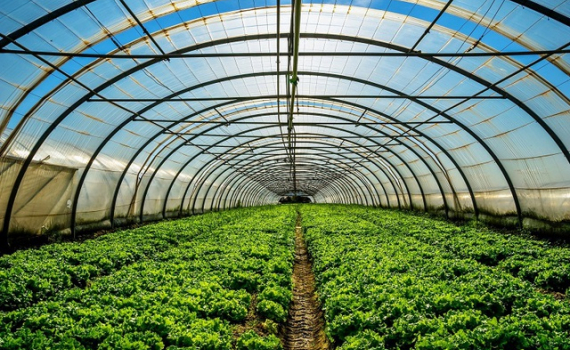 5 th&aacute;ng đầu năm: Xuất khẩu n&ocirc;ng, l&acirc;m, thủy sản đạt 20,26 tỷ USD