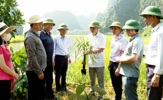 Hoa Lư kiểm tra triển khai nhiệm vụ Tuần Du lịch Ninh B&igrave;nh năm 2023